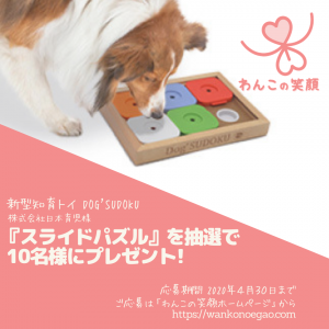 脳トレ ストレス解消 知育玩具 DOG'SUDOKU スライドパズル